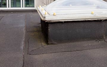 disadvantages of Ballycarry flat roofs