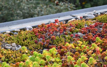the cost of Ballycarry green roof installation
