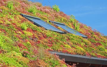 Ballycarry living roof systems