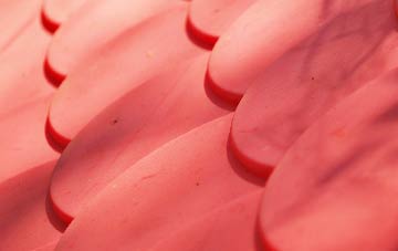 Ballycarry plastic roof costs