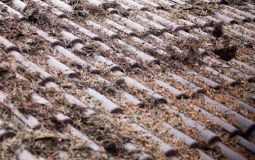 Ballycarry roof cleaning companies