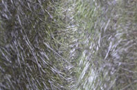 Ballycarry fibreglass roof work